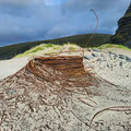 Scraps, beein eaten away by the salty air.
