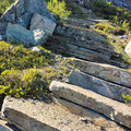 And up more steps...