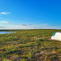 After a long hot day of 40km and hurting feets, I was so glad to reach the planed campingspot.