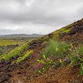 Colorful landscape