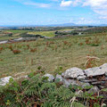 Very dry landscape (almost no rain for 50 days)