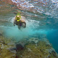 Snorkeling