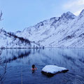 And almost every morning, a short walk to the lake above Bergsfjord for a very short swim (3°C).