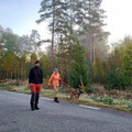 After a great evening and very quiet nigth (there are almost no cars and planes to be heard)...