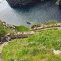 The Whaligoe Steps - a man-made stairway of 365 steps that descend to what was a naturally formed harbour between two sea cliffs - once a landing place for fishing boats. 