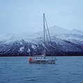 The famous swiss sailingship Pachamama. The family's sailing for 20 years in the most difficult places and...