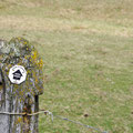 John O'Groats trail - leading from Inverness to the northern point of Scotland