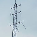 Heavy birds bending the radio antenna...