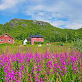 Remote farms.