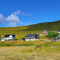  Skarsvåg, a small fishing village with about 60 residents and reindeers...