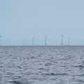 Hundreds of wind mills