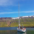 Bye bye SY passage, they are heading off to east Greenland