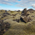 Overgrown lava rocks - the moses always grow first