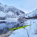 ...the surrounding fjords.