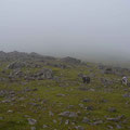 On the first peak before descending in the valley