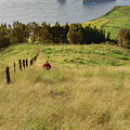 Unfortunately there is no trail to the highest peak of Graciosa