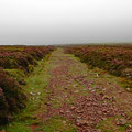 Heading up to Galymore, again into the fog