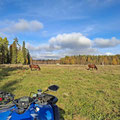 ...who moved a couple of years ago to Sweden. We head a great time with helping out on the farm and...