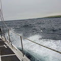 Heading against the current to Grimsey, an island on the arctic circel