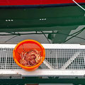 A fishermen bringing fresh crabs.