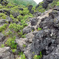 Lava rocks
