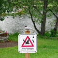 A serious warning - the arctic terns can act very aggresiv...