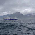 Many fishing boats heading out for the day