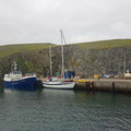 Alone in the harbour with the fine ferry "Good Shepherd IV"