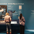 Storymap für das Herder-Institut für die Ausstellung auf der MS Wissenschaft zum Thema "Freiheit". © Ilja C. Hendel für WiD