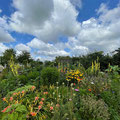 Garten Noldemuseum