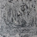© Gertraud Anna Walter 40 x 40 cm #404017