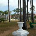 Cayenne : la place des palmistes