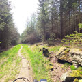 Trail Richtung Ruitzhof 