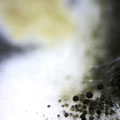 Ein leicht und licht Gespinst