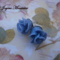 PF024 flores azules 