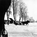 Hof Ganzow -  um 1920 | Blick vom Gutshaus auf den Schafstall, im Hintergrund giebelständig: Haferscheune und Roggenscheune