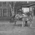 in den 1930er Jahren  |    Reiterin vorm Gutshaus
