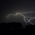 August (lumix) die Punkte sind Regentropfen, durchs Fenster geknipst