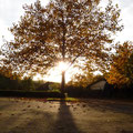 Oktober (lumix)