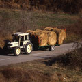 Lamborghini 674-70 Traktor (Quelle: SDF Archiv)