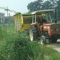 Fiat 566 Traktor (Quelle: CNH)