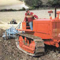 Allis Chalmers WM Raupentraktor (Quelle: AGCO)