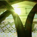 Foto: Celia Mendoza©2025