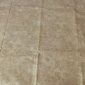 Stoff Beige 1