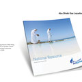 Stability Report - The company is a leading producer of clean energy, supplying global, regional, and domestic markets.