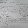 ワークシート：種の観察をしよう
