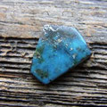 TCMRA0013 WSP