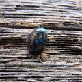 TCBSA0013  9.0mm x 6.9mm x 5.7mm 2.8ct    WEFP