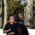 Kampfmannschaft SVM - SV Ravelsbach am 29.04.2012