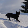 12.2010 Visapkārt sniegs...
